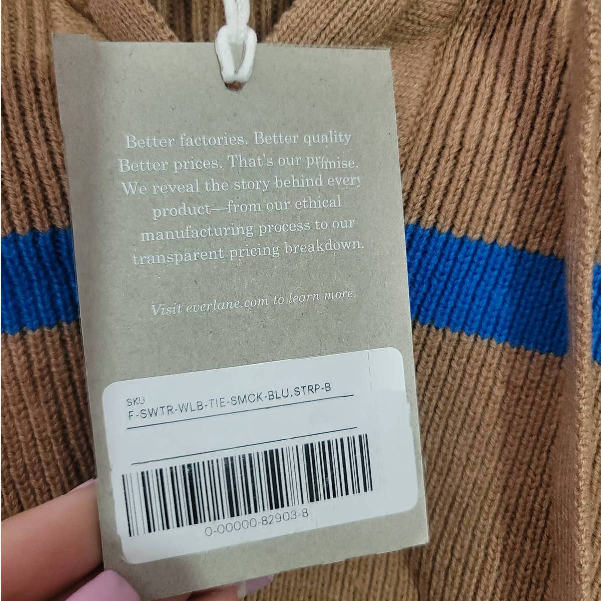 Everlane Lace-Up Smock Sweater Knit Chestnut Blue Striped Size XL NWT
